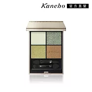 【Kanebo 佳麗寶】LUNASOL 晶巧霓光眼彩盒N 7g# EX08