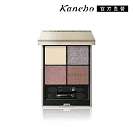 【Kanebo 佳麗寶】LUNASOL 晶巧霓光眼彩盒N 7g# EX09