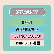 【NIIMBOT 精臣】標籤機 打印機 專用 透明 貼紙 B21/B21S/B3S/B1 適用 / 捲 B系列 49mm圓形-150張/捲