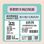 【NIIMBOT 精臣】NIIMBOT 精臣 標籤機 打印機 專用 純白 貼紙 B21/B21S/B3S/B1 適用 / 捲 B系列 30*20mm-320張/捲