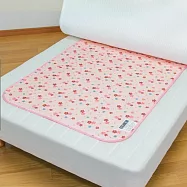 日本ASTRO 除溼抑菌科技 重複使用單人 櫻花美夢墊 附濕度感測 614-76