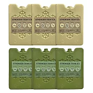 iO長效冰磚 iCP220 三入|FDA、SGS認證 220g-綠色三入