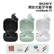 【SONY 索尼】LinkBuds Fit 真無線降噪耳機 WF-LS910N (贈線材綁帶+3C清潔筆+線材收納盒+TC充電線) 白色