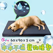 《英柏絲》護理級防水寵物床墊 90x60cm 寵物睡墊 表布可拆洗 防尿 防嘔吐 抑菌除臭 台灣製(柏林藍) 柏林藍