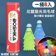 【WIDE VIEW】LED尼龍發光羽毛球1桶8入(LED羽毛球 夜光羽球 夜間打球必備/LNB-8)