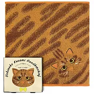 我家喵喵今治手帕 小胖橘