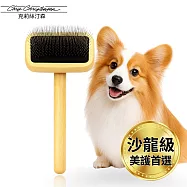 美國克莉絲汀森 Karben系列木柄局部修飾氣墊寵物針梳(迷你型)