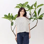 好我_Brook簡約寬鬆條紋T恤上衣 FREE 黑白條