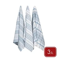 《NOW》Jumbo純棉擦拭布3入 - 水藍格紋91x61cm