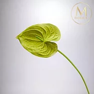 【Floral M】黛安娜心型火鶴仿真花花材(2入組)- 綠天使