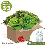 【MOS摩斯漢堡】水耕蔬菜箱-奶油波士頓萵苣/紅橡木萵苣 贈天然水2瓶 (奶油180gx3+紅橡木150gx3)