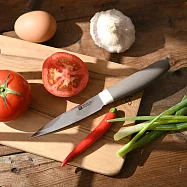 Zwilling 雙人牌 Now S 蔬果削皮刀 10cm 灰 水果刀 削皮器