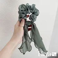 【Hera赫拉】韓國網紅東大門飄帶大腸髮圈H111031412 綠色