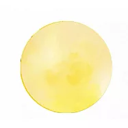 子玄 月亮拍照板 中秋節手拿月亮KT板 中秋拍照神氣 月亮道具