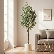 【Floral M】義大利托斯卡納橄欖樹1.8公尺室內大型仿真植栽(贈送花盆)