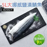 【優鮮配】5L大挪威薄鹽鯖魚9片免運組(250g/片)