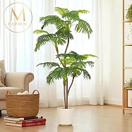 【Floral M】比佛利山莊美式棕櫚樹1.7公尺室內大型仿真植栽(贈送花盆)