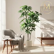 【Floral M】財源滾滾四季發財樹1.7公尺室內大型仿真植栽(贈送花盆)