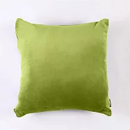 gymterior 健身環抱枕- 綠(AZ-673-GREEN)