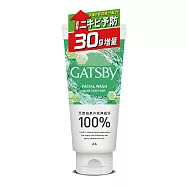 GATSBY 清爽抗痘洗面乳(限定增量版) 160g