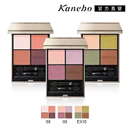 【Kanebo 佳麗寶】LUNASOL 晶巧霓光眼彩盒N 7g# EX10