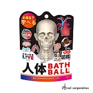 日本NOL-學研的圖鑑LIVE：人體器官入浴球(泡澡球)-5入(甜美柔和香/洗澡玩具/交換禮物)
