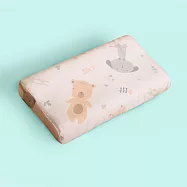 《Embrace英柏絲》純天絲x3D網布 兒童工學記憶枕 純天絲枕套 3D網布不悶熱 成長型 JIS日規大和抗菌(多色任選) 小狗圓舞曲1入