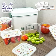 安妮兔 隨身多用箱六件組(長方盒x3+方盒x2+收納箱) UP-D243