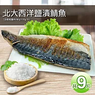 【優鮮配】油質豐厚挪威薄鹽鯖魚9片免運組(180g/片) 免運組