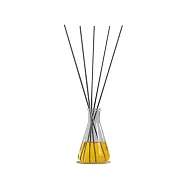 @aroma Hario Flask D09 聯名玻璃瓶擴香組 (靜謐舒心、250ml)