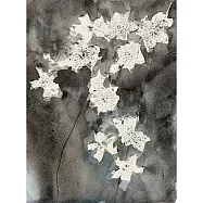 【玲廊滿藝】李佳燕-櫻花27x20cm