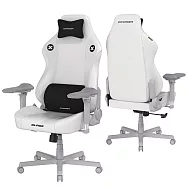 DXRACER 電競賽車椅 利刃 (6D扶手/皮面白色)