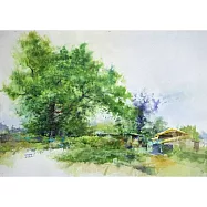 【玲廊滿藝】張宏彬-老樹情懷55x40cm