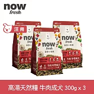 Now! 中型成犬牛肉配方 300克 三件組 高湯天然糧 | 乾濕兩吃 火雞高湯 中型犬 犬糧 狗糧 WDJ