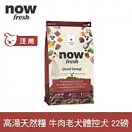 Now! 中型老犬/體控犬牛肉配方 22磅 高湯天然糧 | 乾濕兩吃 火雞高湯 中型犬 犬糧 狗糧 WDJ