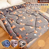 《田中保暖》MIT 雙面法蘭絨暖暖 毯被 輕柔蓬鬆 冬季限定鋪棉款 寒流必備 柴柴-灰