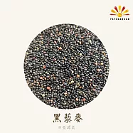 【亞源泉】藜麥 量批發 紅/黑/白三種任選 3公斤 黑藜麥
