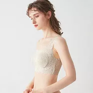 日本【GUNZE郡是】cherish moon 惜月新款 溫柔無縫無鋼圈內衣 W支撐胸罩 大豆異黃酮科技滑順蕾絲減少束縛-214-137 M 水晶米色