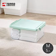 【日本天馬】粉彩調色盤系列掀蓋收納箱(M)-23L-5入-多色可選- 薄荷綠