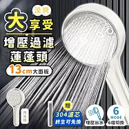 澡爽 大享受增壓過濾蓮蓬頭 附304不鏽鋼濾芯x1 過濾蓮蓬頭 加壓蓮蓬頭 不鏽鋼蓮蓬頭 省水 按摩蓮蓬頭 增壓蓮蓬頭 浴室蓮蓬頭 無 月光白