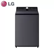 LG樂金20公斤AIDD蒸氣直驅變頻直立式洗衣機WT-TD20HG(夜墨灰)