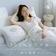 【AGAPE雅家倍】MIT台灣製 多款任選 3M法式天絲 單人3.5x6.2尺薄床包枕套二件組 晚安數數羊