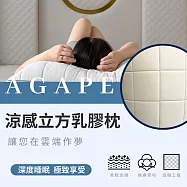 【AGAPE雅家倍】MIT涼感立方乳膠枕1入