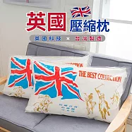 【AGAPE雅家倍】MIT《英國品牌抗菌Q彈可水洗壓縮枕》1入 百貨專櫃同款