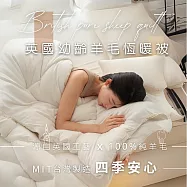 【AGAPE雅家倍】MIT台灣製100%純英國小羊毛 單人4.5x6.5尺