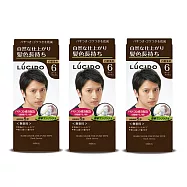 倫士度LUCIDO 按壓式染髮霜(6號深棕)100gX3盒 男性染髮劑 白髮染 只要五分鐘 無香料