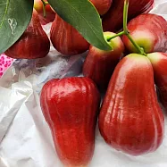 【高雄劉家果園】黑糖芭比蓮霧(3kg/箱) 7個工作天內出貨