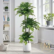 【Floral M】居家超人氣滿滿幸福樹1.5公尺室內大型仿真植栽(贈送花盆)