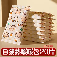 【壹念】一次性暖暖包 2入組20片 自發熱暖手寶 (秋冬必備暖手 暖暖包 可愛圖案) 小棕熊