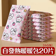 【壹念】一次性暖暖包 2入組20片 自發熱暖手寶 (秋冬必備暖手 暖暖包 可愛圖案) 小白兔